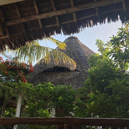 Pasa Lodge Zanzibar Нунгви Экстерьер фото
