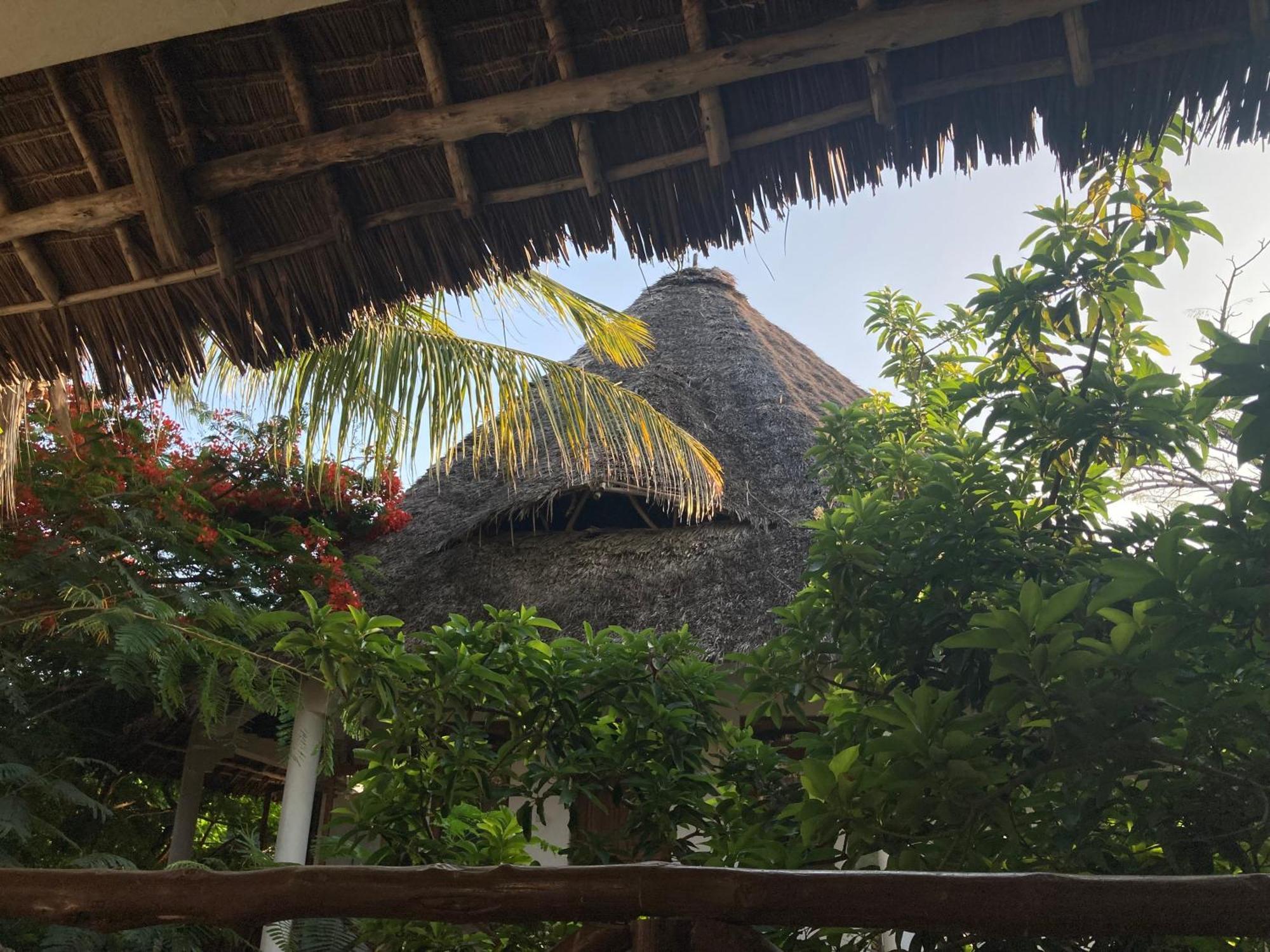 Pasa Lodge Zanzibar Нунгви Экстерьер фото