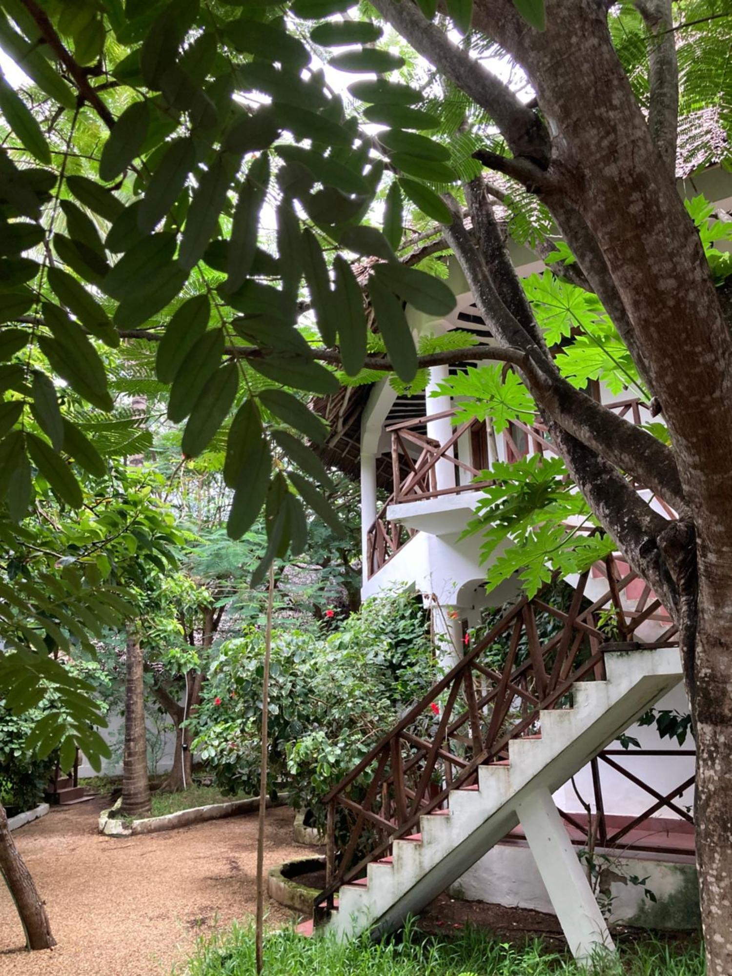 Pasa Lodge Zanzibar Нунгви Экстерьер фото